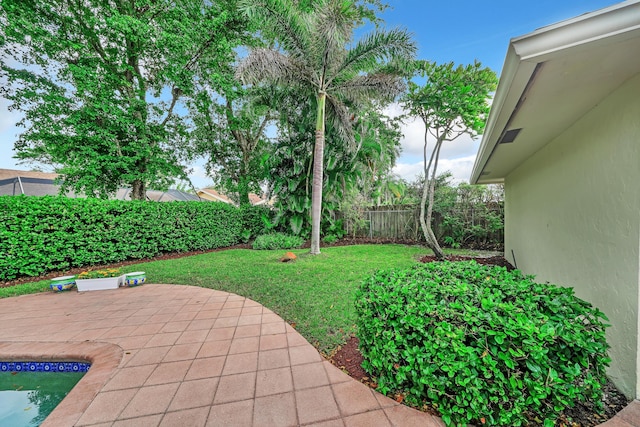 view of yard featuring a patio area