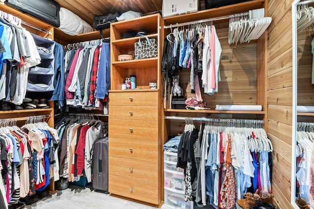 view of spacious closet