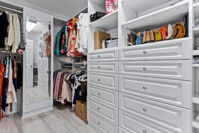 spacious closet featuring light wood-type flooring