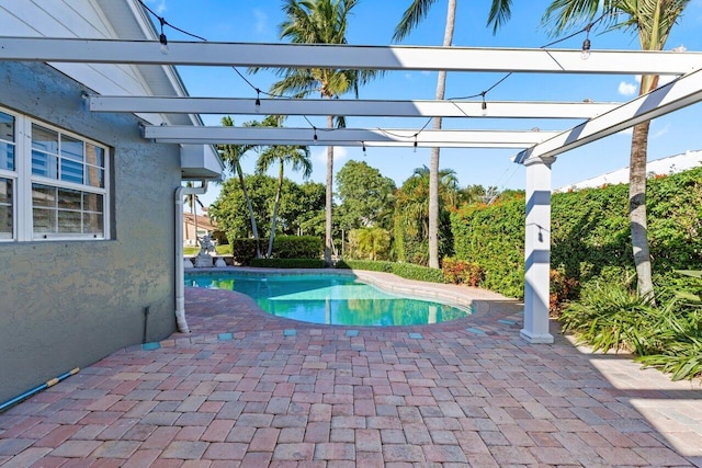 view of pool with a patio