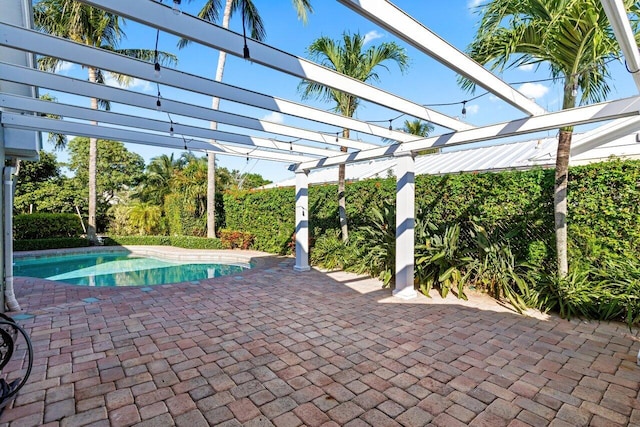 view of pool with a patio