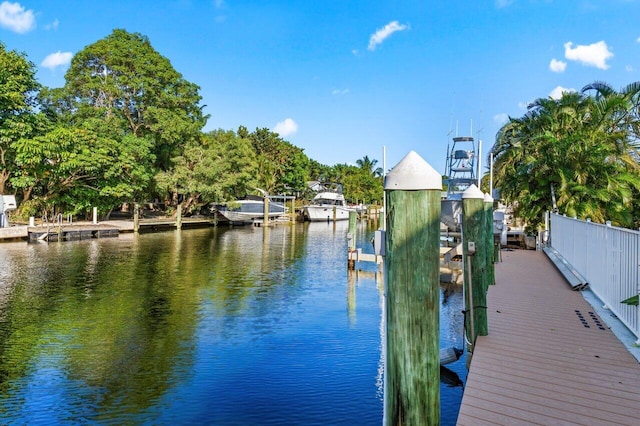 dock area with a water view