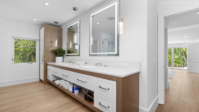 bathroom with hardwood / wood-style floors and vanity