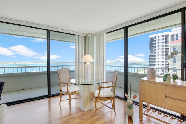 sunroom with a water view