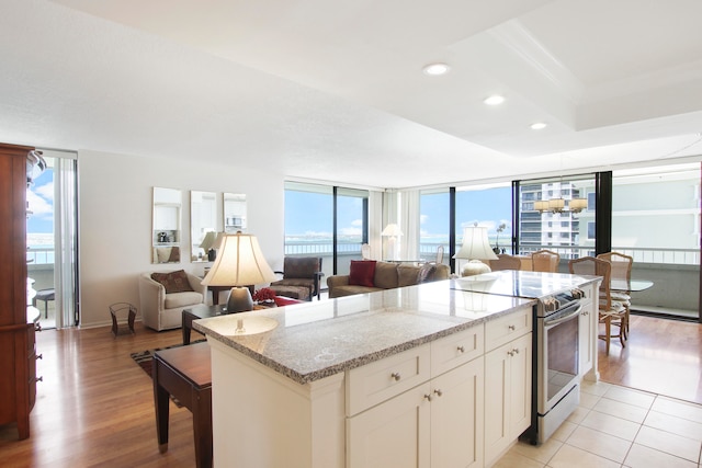 kitchen featuring light hardwood / wood-style floors, a healthy amount of sunlight, stainless steel range with electric stovetop, and light stone counters