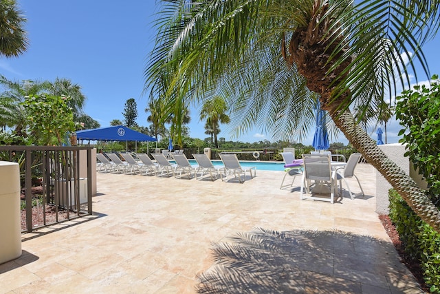 view of pool with a patio area