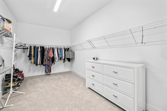 walk in closet featuring carpet floors