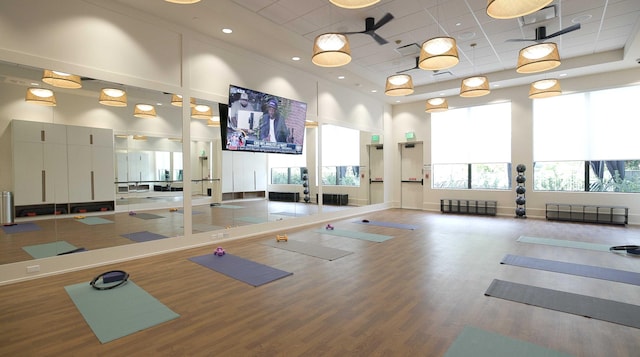 exercise room with a towering ceiling, a paneled ceiling, a wealth of natural light, and wood finished floors