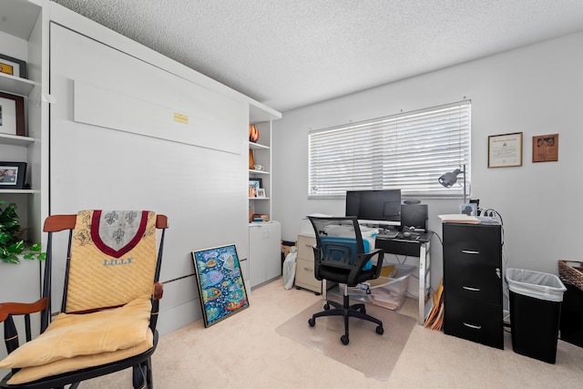 carpeted office with a textured ceiling