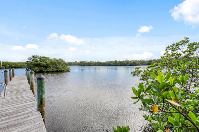 dock area featuring a water view