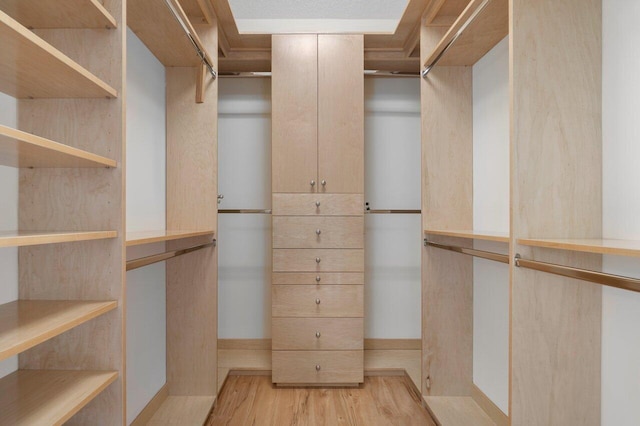 spacious closet with light hardwood / wood-style flooring