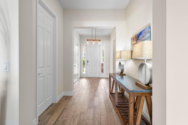 foyer featuring wood-type flooring