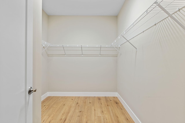 walk in closet with hardwood / wood-style flooring