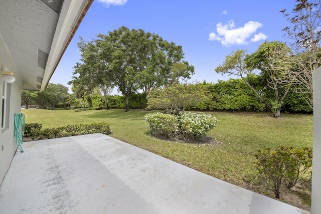 view of yard with a patio