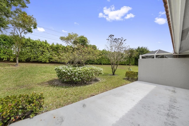 view of yard featuring a patio