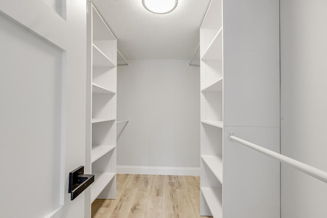 spacious closet with light hardwood / wood-style floors