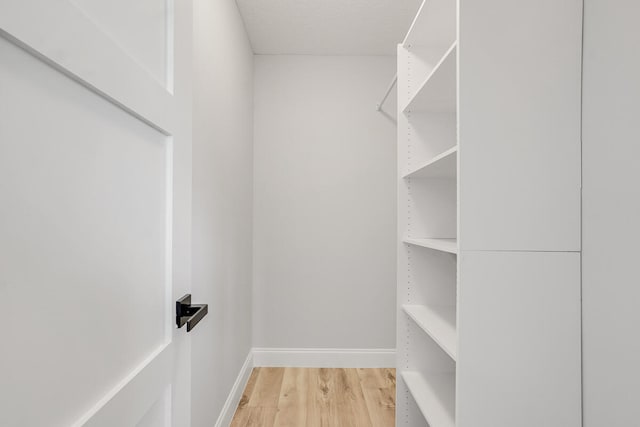 walk in closet featuring light wood-type flooring