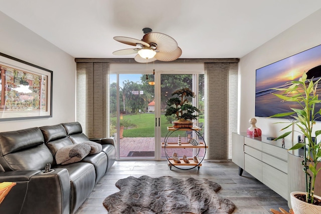 living room with ceiling fan and light hardwood / wood-style flooring