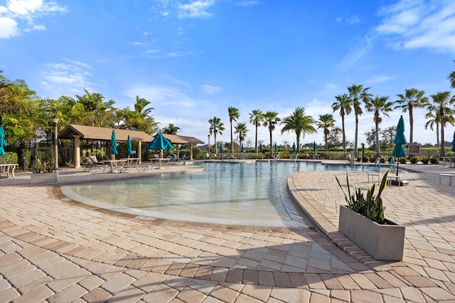 view of swimming pool with a patio