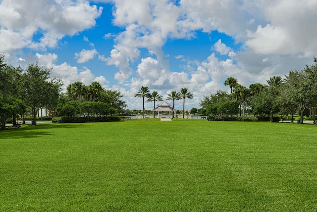 view of property's community featuring a yard