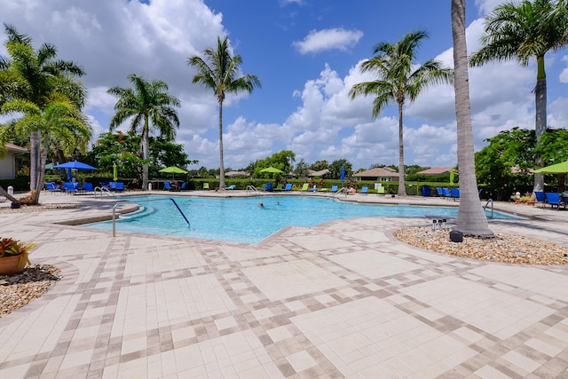 view of swimming pool with a patio area