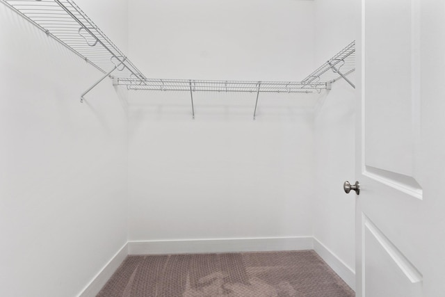 13689 Artisan Cir, Palm Beach Gardens, FL 33418 - spacious closet featuring carpet floors