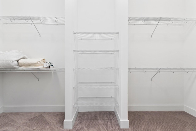 walk in closet with carpet