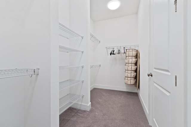 spacious closet with carpet flooring