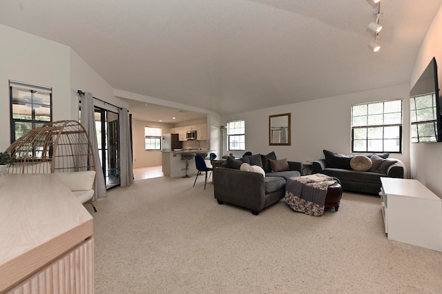 living room featuring vaulted ceiling and a healthy amount of sunlight