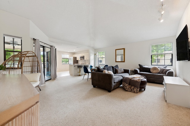 living room with a healthy amount of sunlight and vaulted ceiling