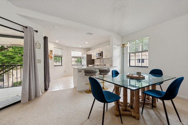 dining room featuring plenty of natural light, a textured ceiling, and sink