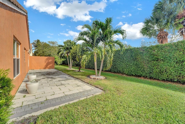 view of yard featuring a patio