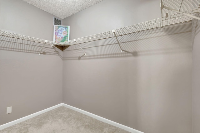 walk in closet featuring carpet