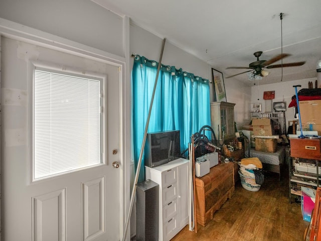 interior space featuring ceiling fan and wood-type flooring