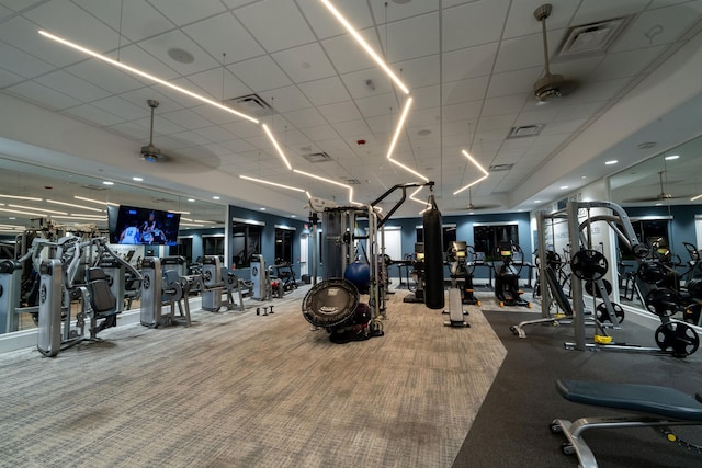 exercise room featuring a paneled ceiling, ceiling fan, and carpet floors