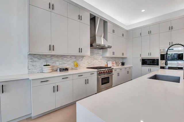 kitchen with wall chimney range hood, sink, appliances with stainless steel finishes, and tasteful backsplash