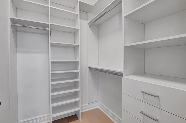 spacious closet featuring hardwood / wood-style floors