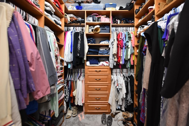 walk in closet with carpet