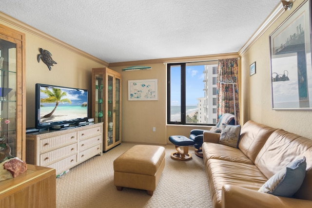 3009 S Ocean Blvd Unit 901, Highland Beach, FL 33487 - living area with ornamental molding, carpet floors, and a textured ceiling