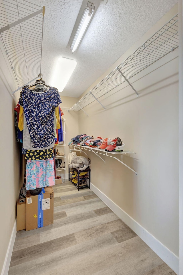 walk in closet with wood-type flooring