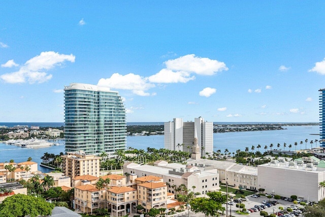 bird's eye view with a water view