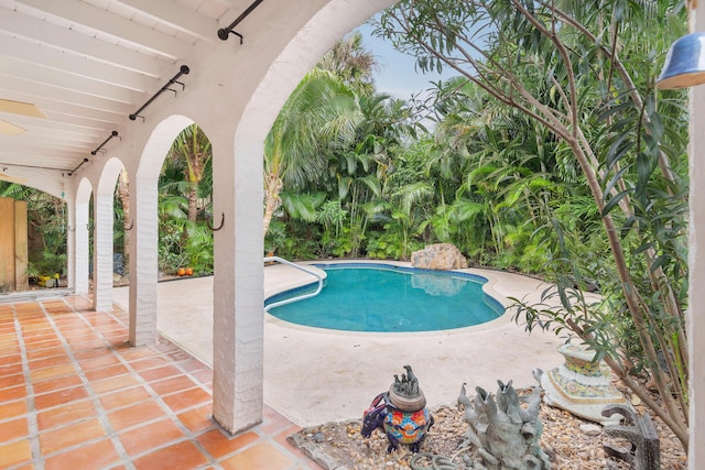 view of pool featuring a patio