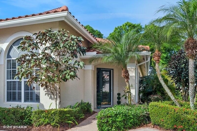 view of exterior entry with a tile roof and stucco siding