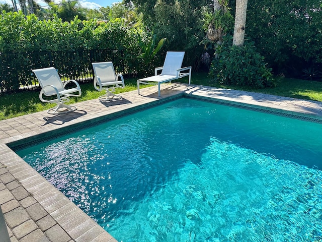 view of pool with a patio area