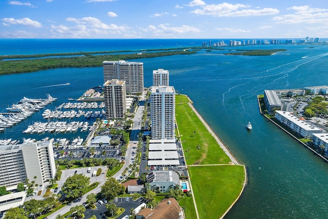 bird's eye view with a water view