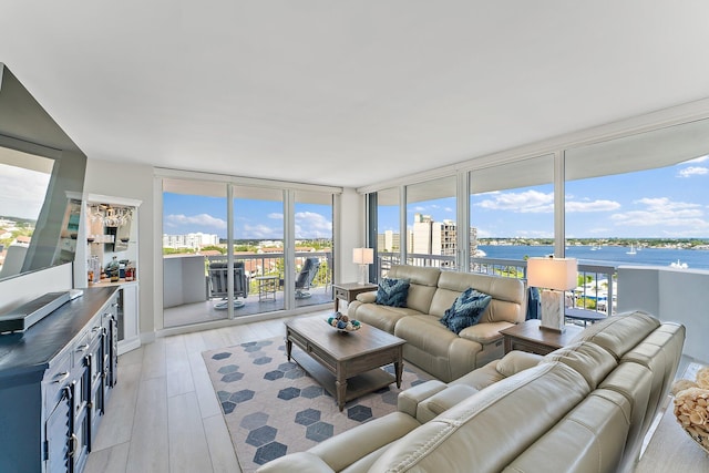 living room with plenty of natural light, a water view, and light hardwood / wood-style flooring