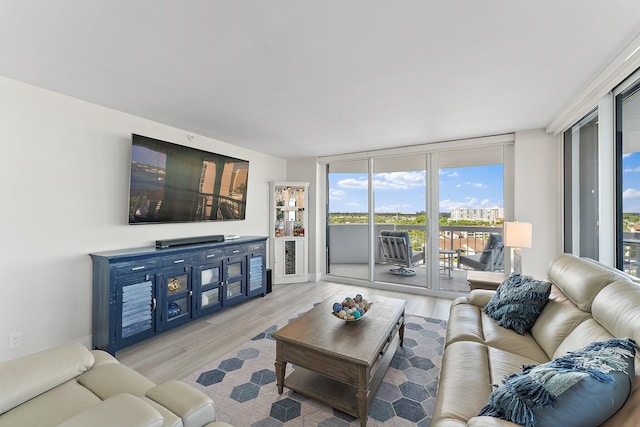 living room with light hardwood / wood-style flooring