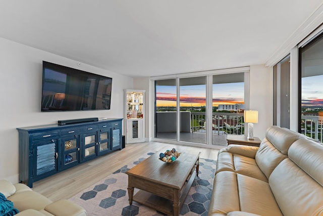 living room featuring light hardwood / wood-style flooring