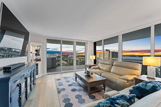 living room featuring light hardwood / wood-style flooring and floor to ceiling windows