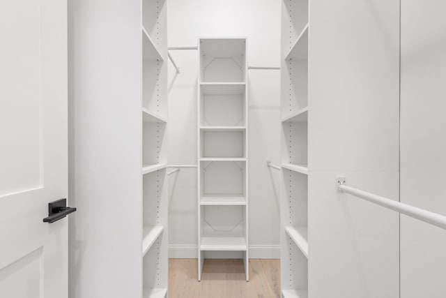 spacious closet featuring light wood-type flooring